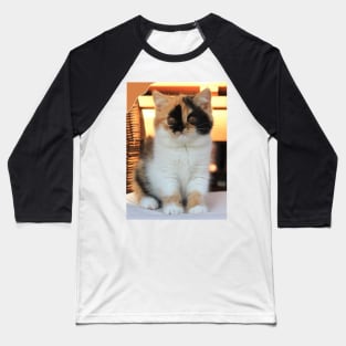 love cute cats Baseball T-Shirt